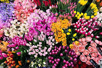 《赛博朋克2077》1.3版AVX Mod修复旧CPU问题